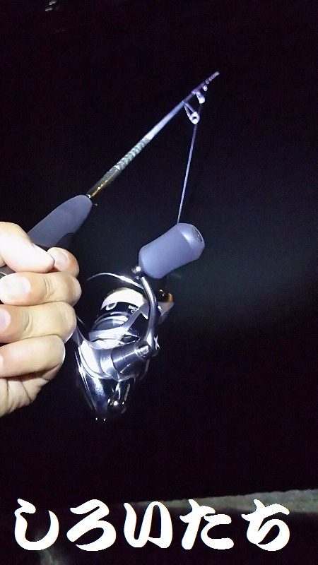 今日も、メバリングでしたが・・・