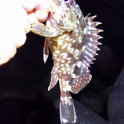 ガシリングになってしもたぁ～。