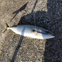 激渋の中での2本