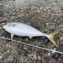 雨の中の市役所裏で