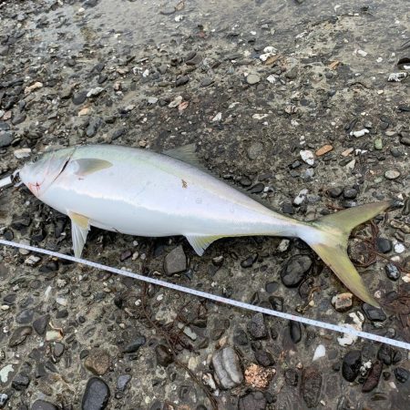 雨の中の市役所裏で