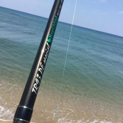 サーフ小型青物回遊