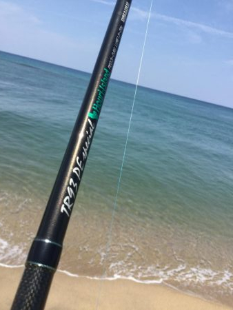 サーフ小型青物回遊