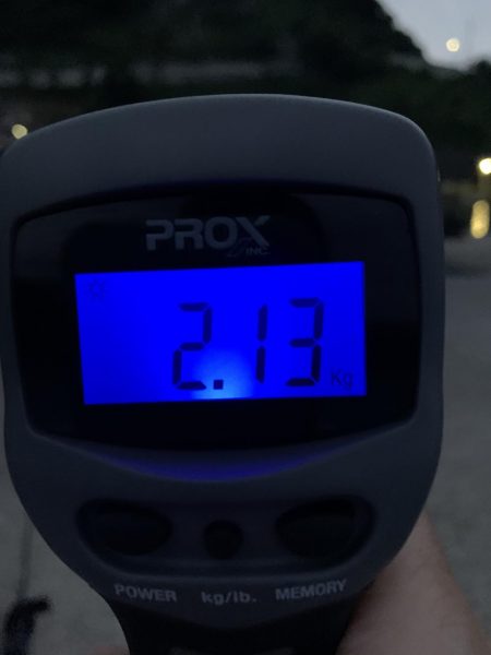 春烏賊終盤に2キロ越え