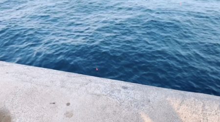 サバで釣れました！