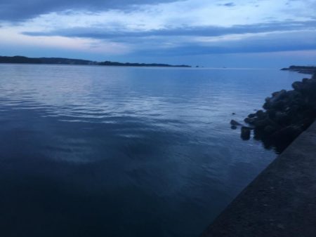 アジ7匹、コサバ25匹