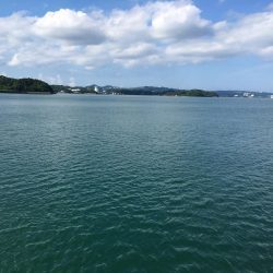 アジ、ツバス、チャリコ、キス、コサバ