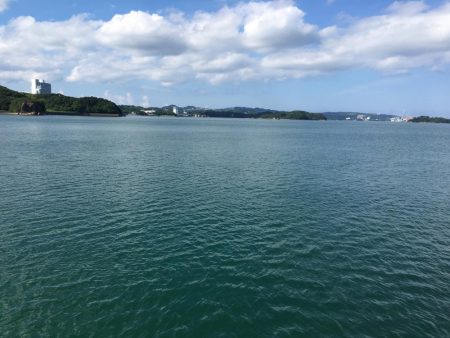 アジ、ツバス、チャリコ、キス、コサバ