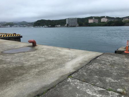 アジ、ツバス、コサバ