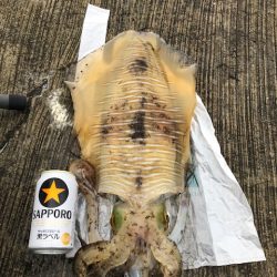 飴色のモンスター