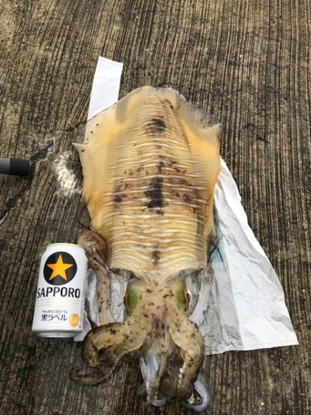 飴色のモンスター