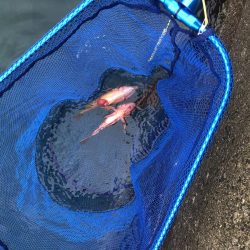 時化の日は無理しちゃ駄目　