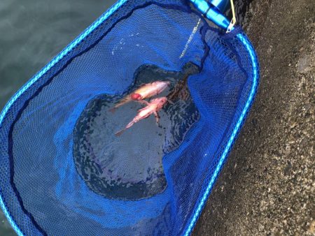 時化の日は無理しちゃ駄目　