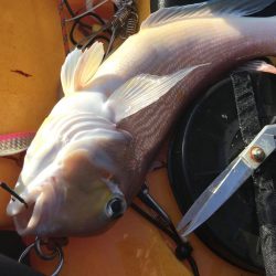 自己ベストの日