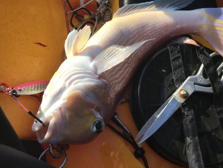 自己ベストの日