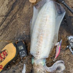 今季の記録更新