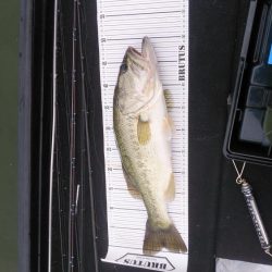 ポストスポーン絶好調