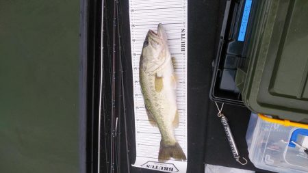 ポストスポーン絶好調