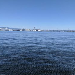 ジグサビキで、鯖サバ〜　鯵が一匹　