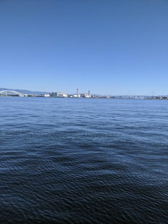 ジグサビキで、鯖サバ〜　鯵が一匹　