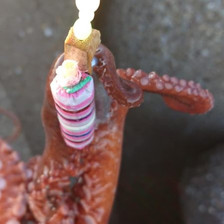 ショアタコゲーム