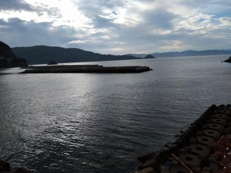 春イカもういない？