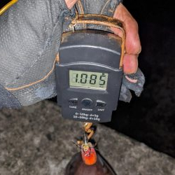 久々のキロアップ