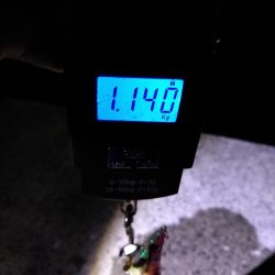 久しぶりのキロアップ