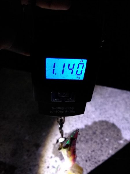 久しぶりのキロアップ