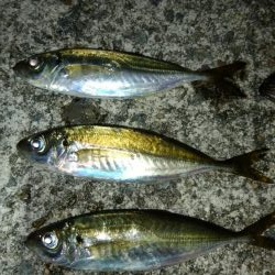 自粛解除を受けて