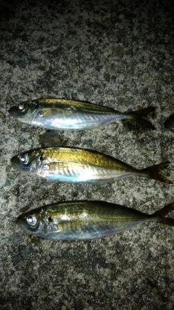 自粛解除を受けて