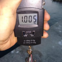 ギリキロいかず…