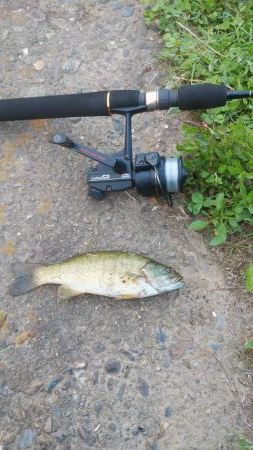 スモールマウスバスプチラシュ