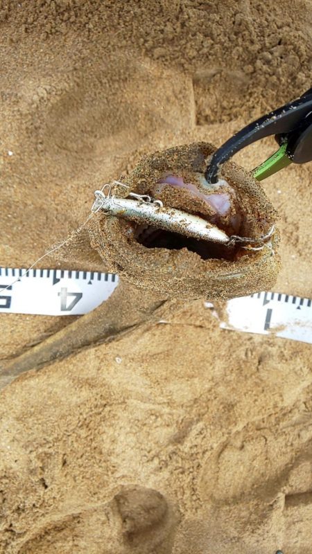 今年 初ランカーサイズ!