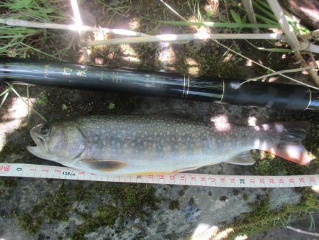 大雨後の渓谷にて