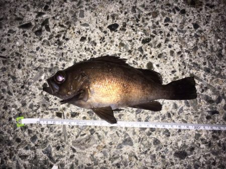 強いアタリとともに・・・