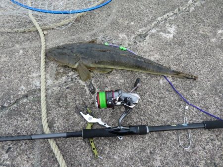 人生初マゴチはなかなかのサイズ!