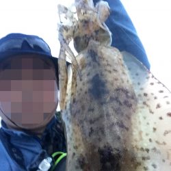 巻きジャクリの練習のつもりが