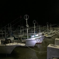 ランカーキビレ！