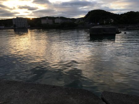 ツバス3匹、アジ5匹、コサバ300匹