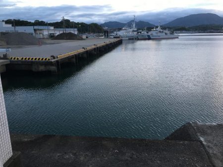 アジ9匹、ツバス5匹、コサバ6匹、キス1匹