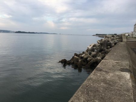 アジ8匹、ツバス3匹、チャリコ2匹、コサバ約50匹、キス(20㎝)1匹