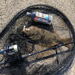 エギングタックル ジグヘッド&ワームで