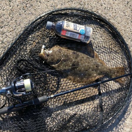 エギングタックル ジグヘッド&ワームで