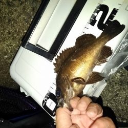 フロートゲーム