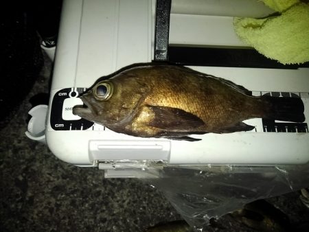 フロートゲーム～