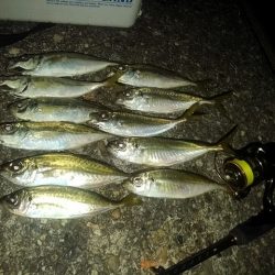 フロートゲーム