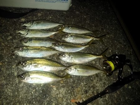 フロートゲーム