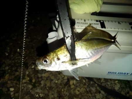 フロートゲーム