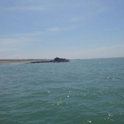 昨日は良かったらしいけど、今日は、、、、